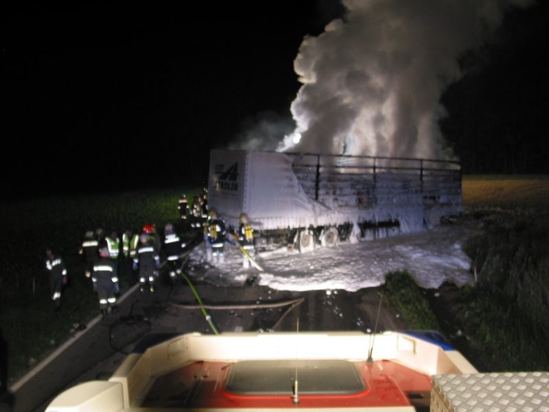 img (49).JPG